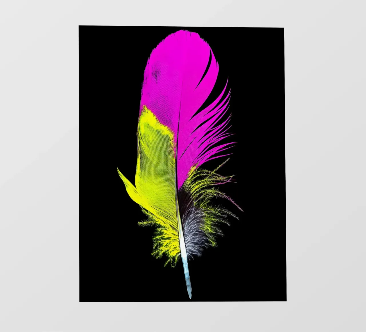 Piuma - Pop Art pellicola backlit da ColorCrash Gallery