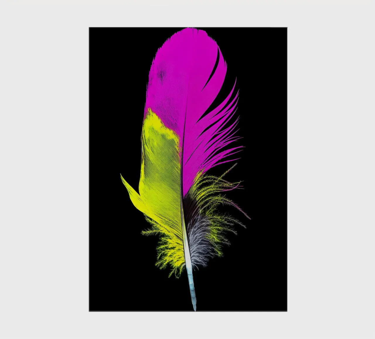 Feather - Pop Art notebook by ColorCrash Gallery