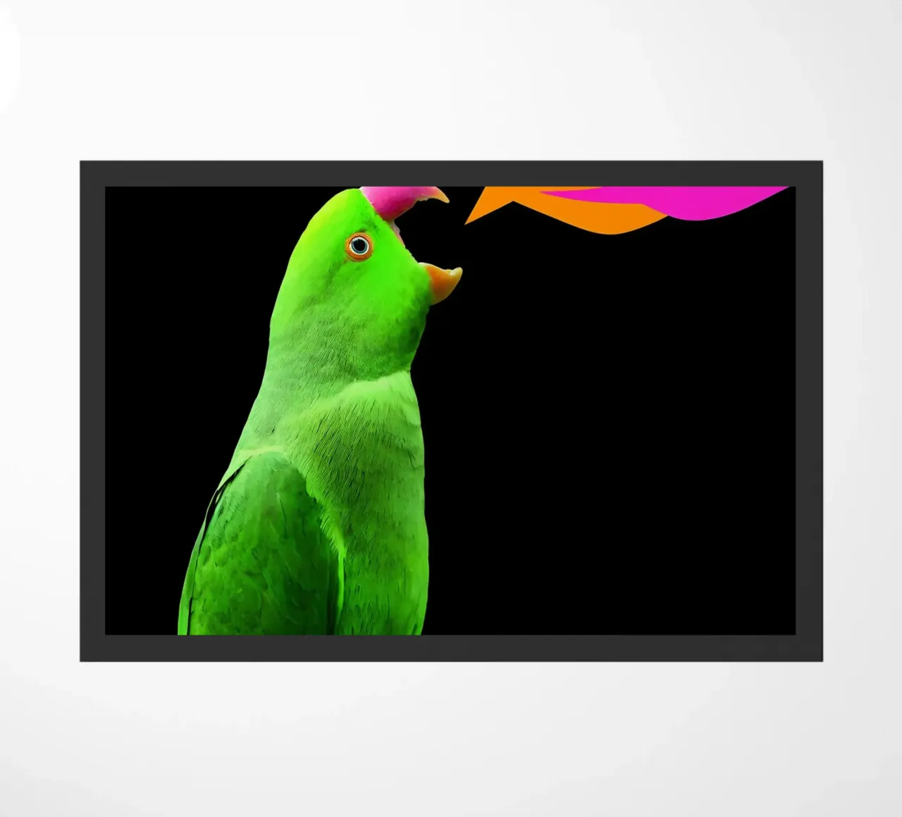 Discorso del pappagallo - Pop Art zerbino da ColorCrash Gallery