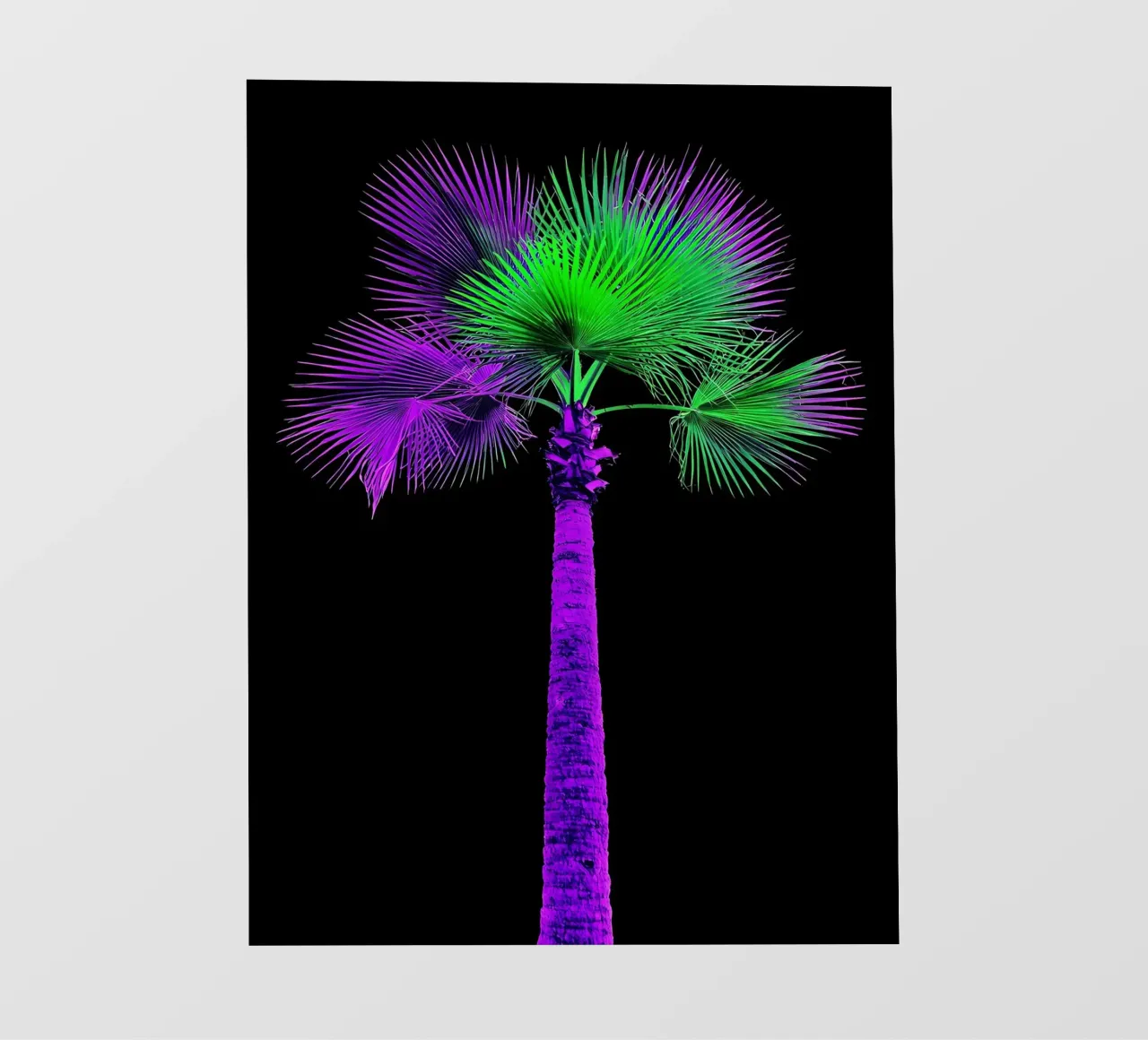 Palma - Pop Art pellicola backlit da ColorCrash Gallery
