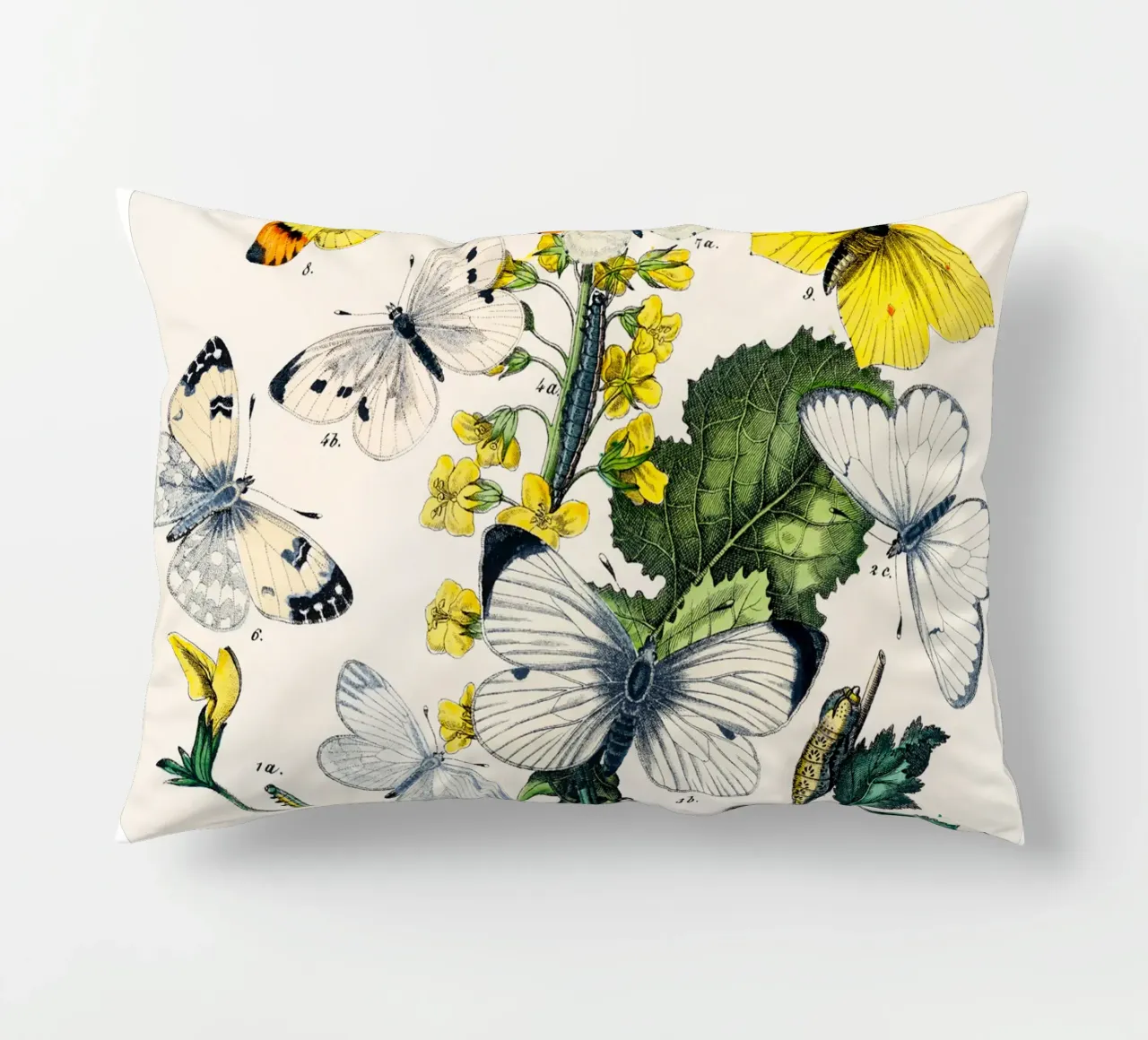 butterflies and flowers decorative cushion by Venus Art