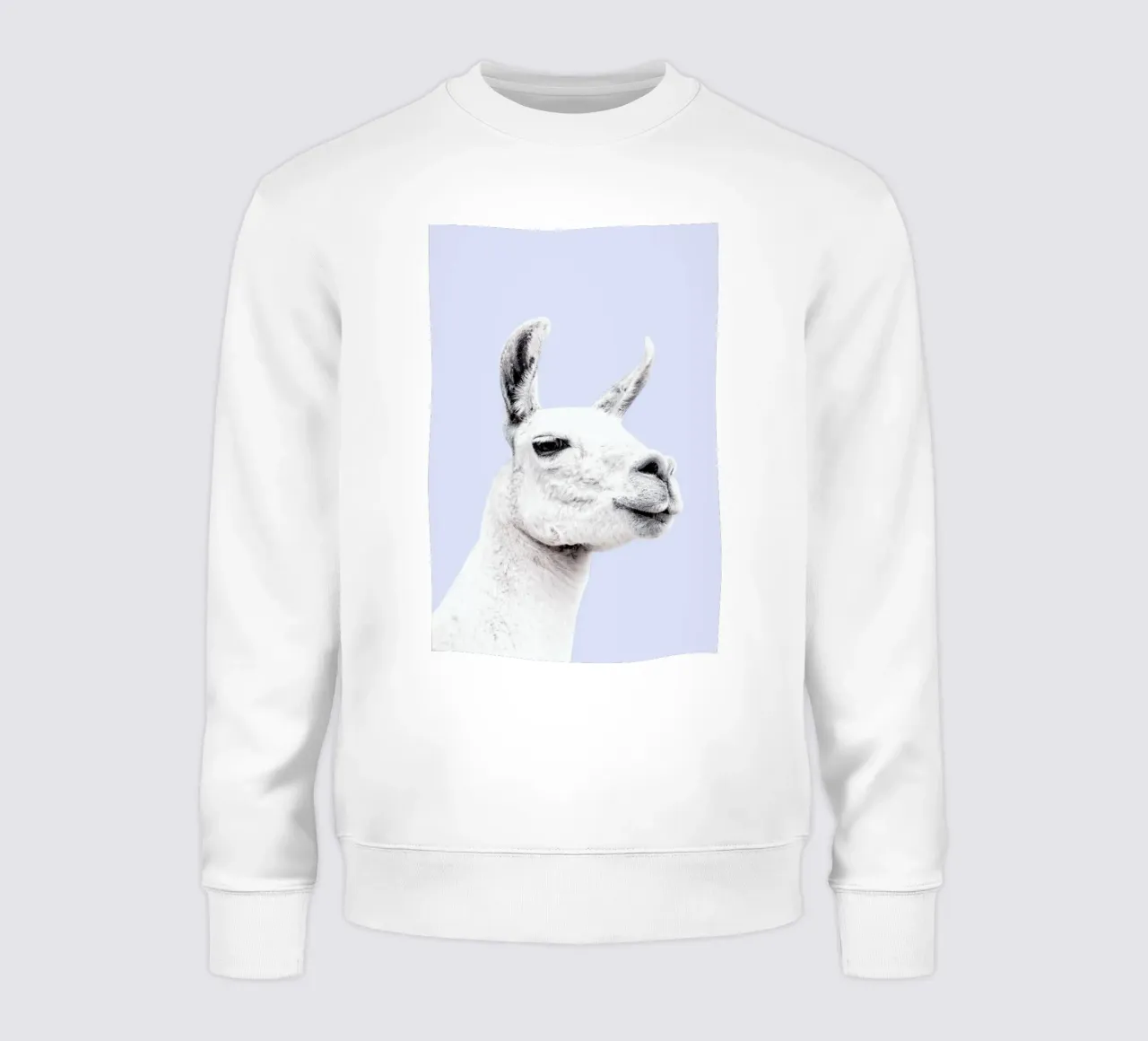 Blue Llama II felpa da Victoria Frost