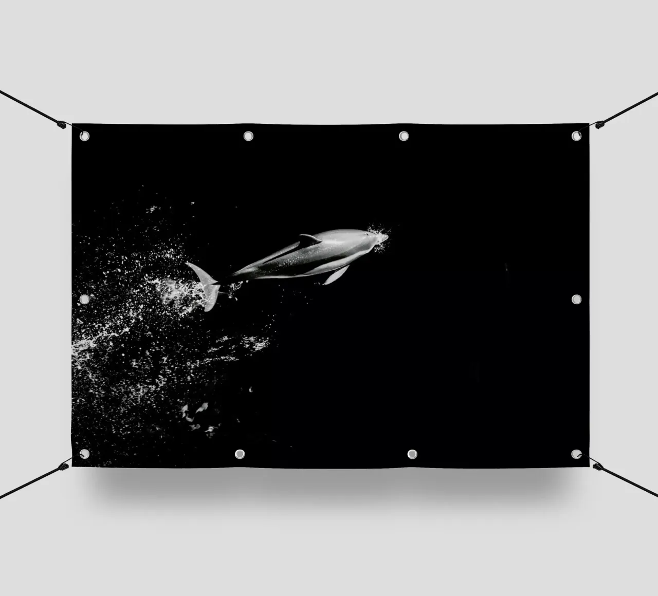 Dolphin in the Wild by @mirrorliss telo in pvc da EyeEm Mobile GmbH