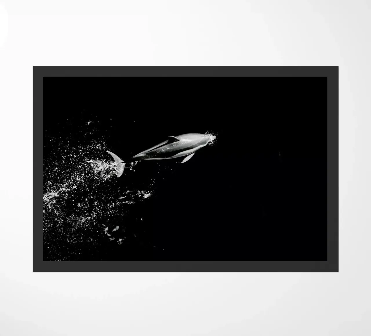Dolphin in the Wild by @mirrorliss zerbino da EyeEm Mobile GmbH