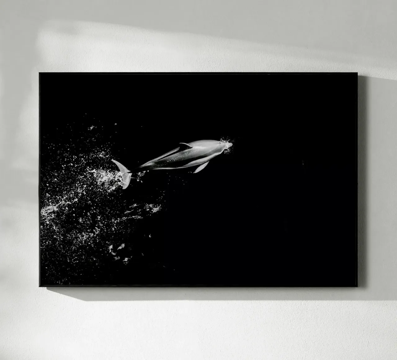 Dolphin in the Wild by @mirrorliss plexiglass da EyeEm Mobile GmbH