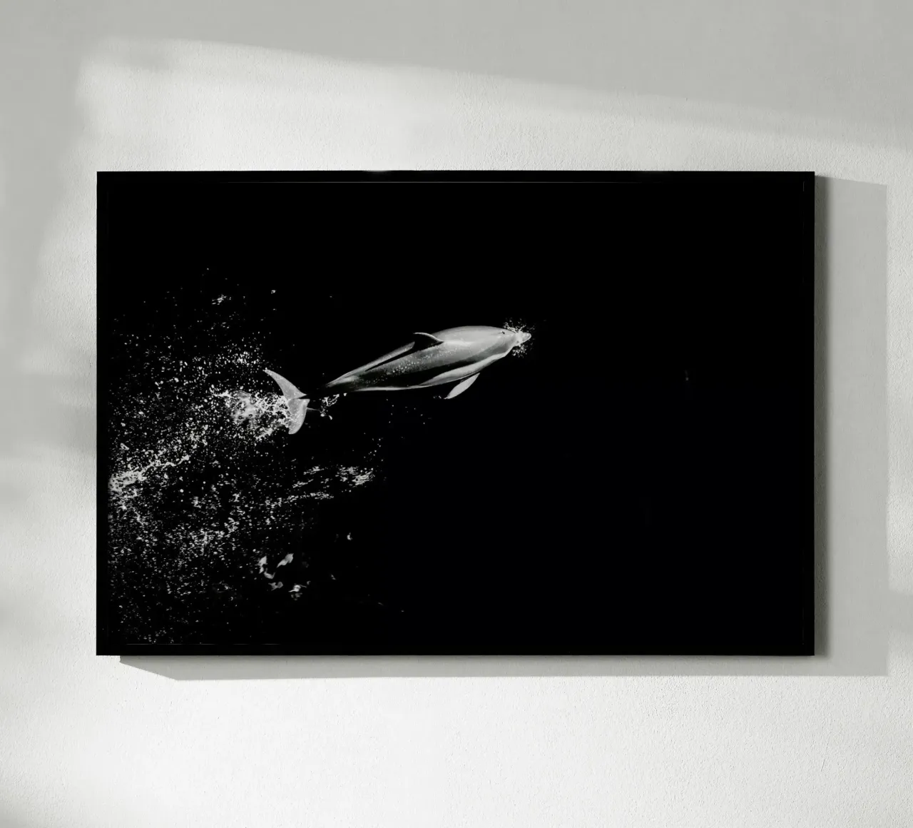 Dolphin in the Wild by @mirrorliss carta hahnemühle da EyeEm Mobile GmbH
