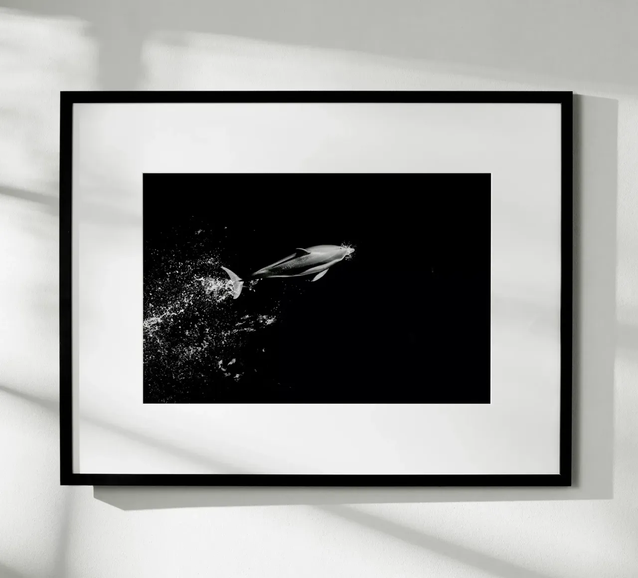 Dolphin in the Wild by @mirrorliss carta hahnemühle da EyeEm Mobile GmbH