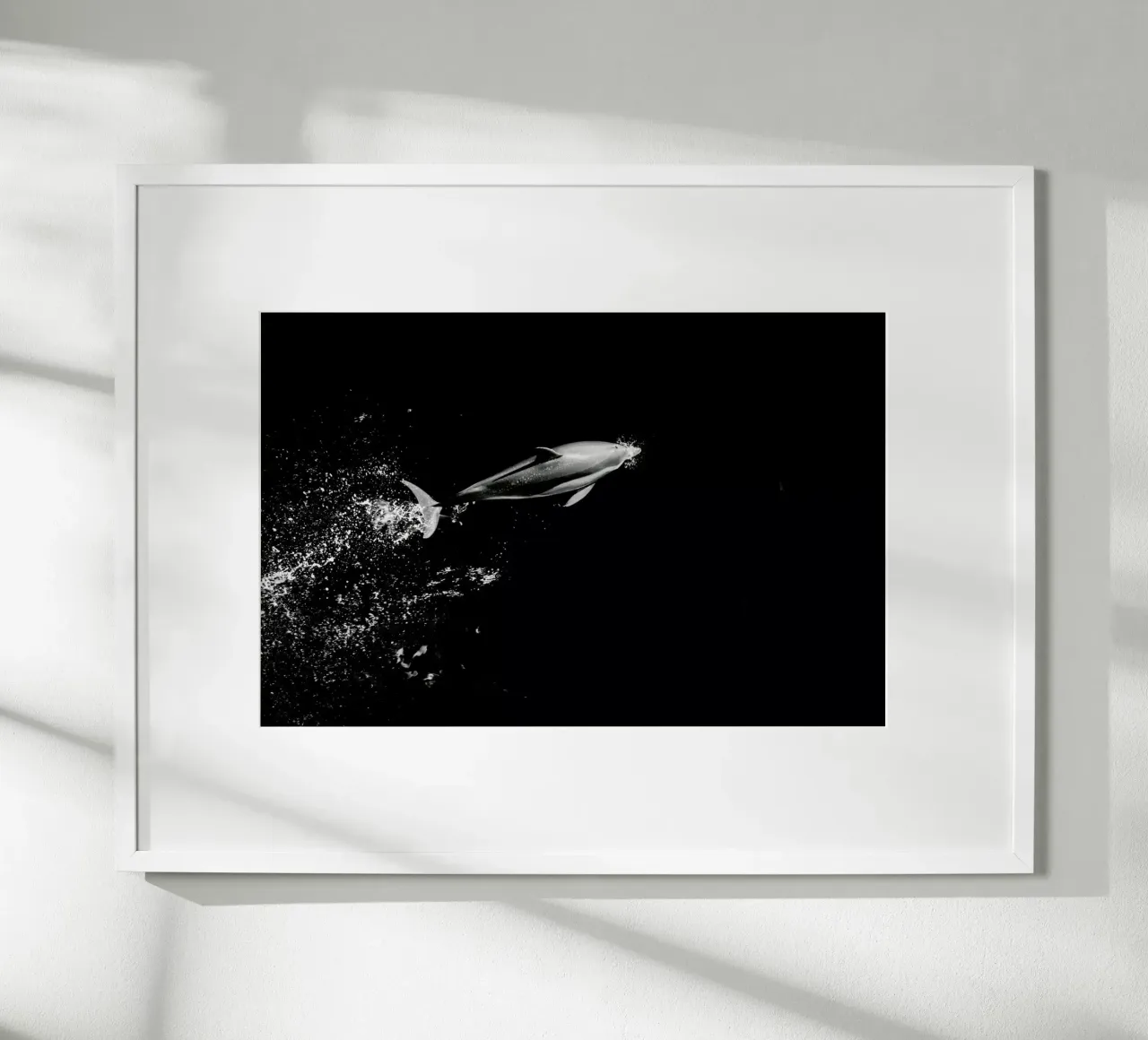 Dolphin in the Wild by @mirrorliss carta hahnemühle da EyeEm Mobile GmbH