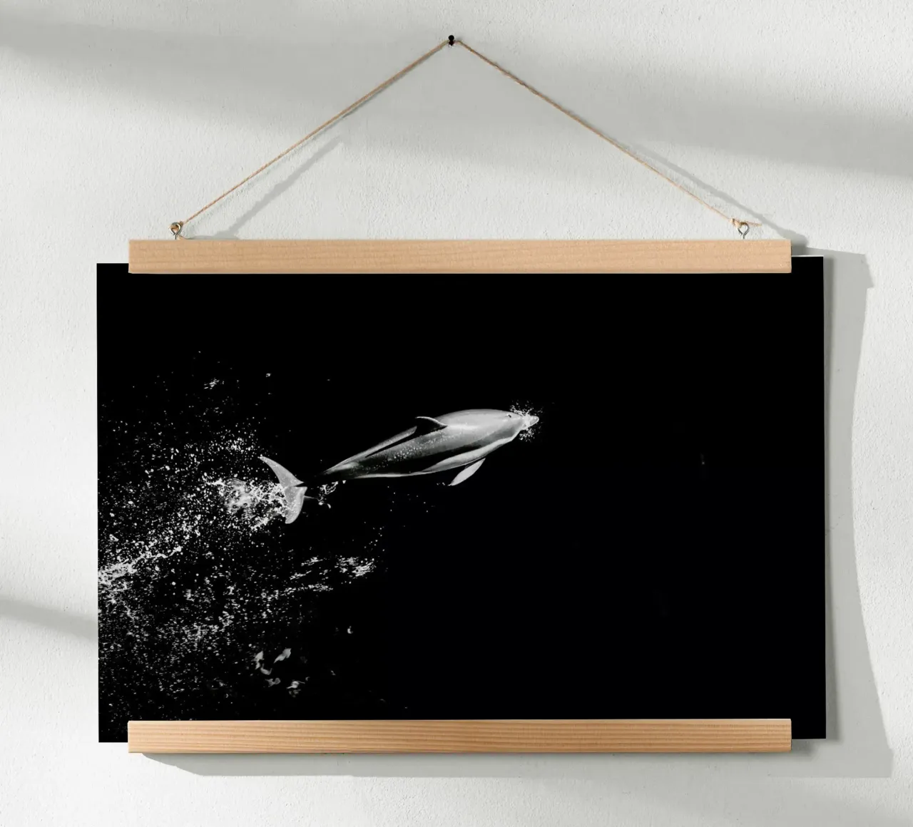 Dolphin in the Wild by @mirrorliss carta hahnemühle da EyeEm Mobile GmbH