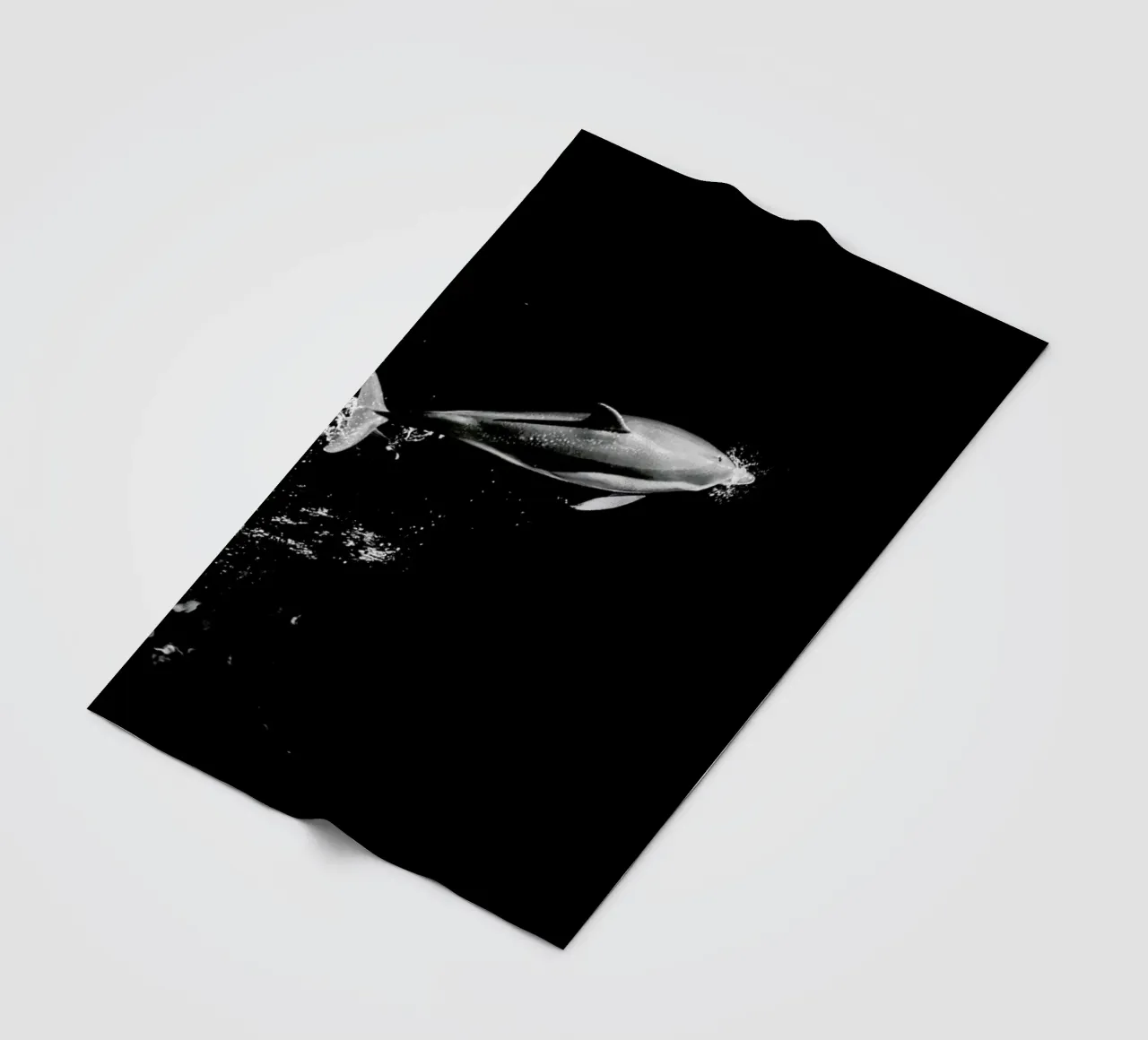 Dolphin in the Wild by @mirrorliss coperta in pile da EyeEm Mobile GmbH