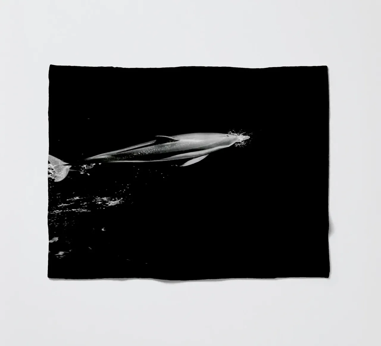 Dolphin in the Wild by @mirrorliss coperta in pile da EyeEm Mobile GmbH