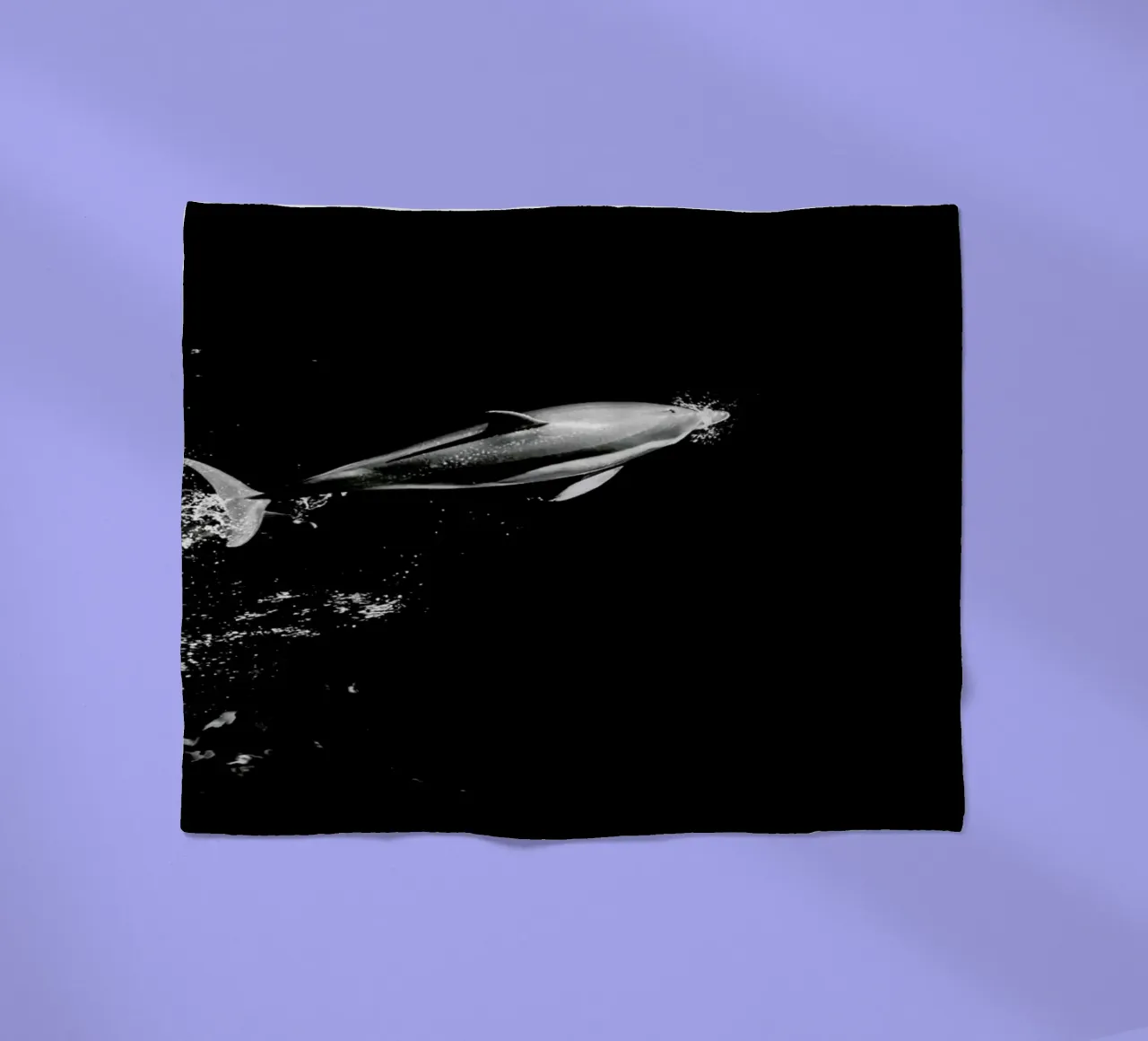 Dolphin in the Wild by @mirrorliss coperta in pile da EyeEm Mobile GmbH