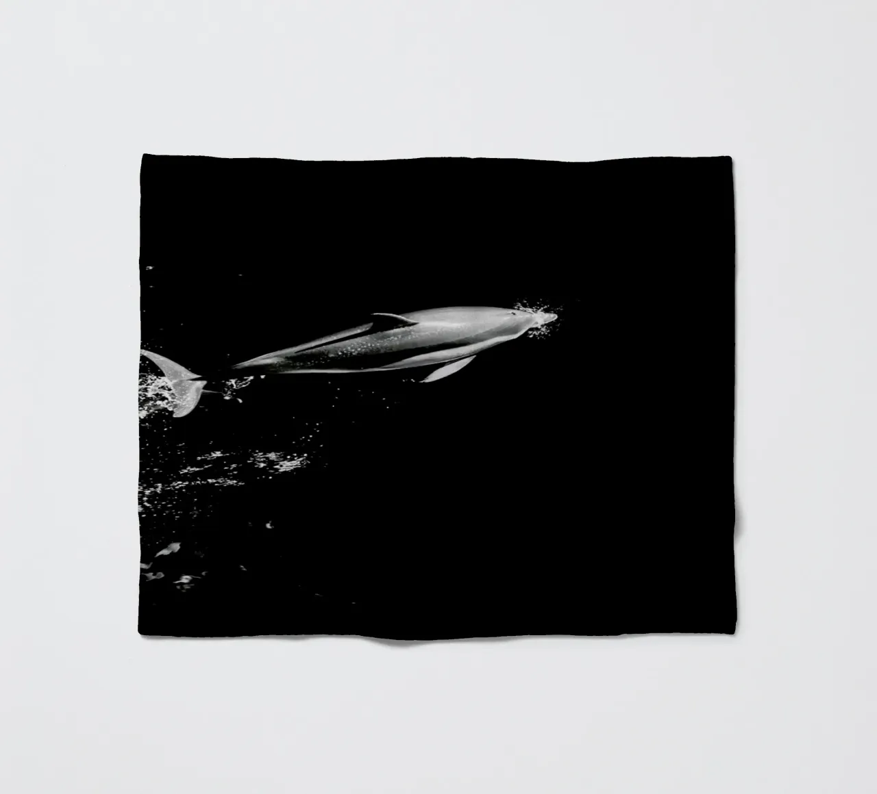 Dolphin in the Wild by @mirrorliss coperta in pile da EyeEm Mobile GmbH