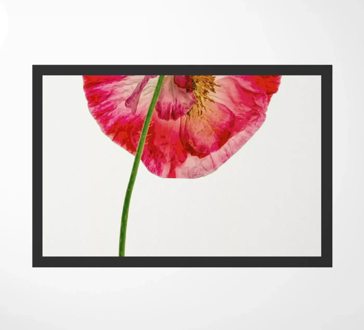 Heart X zerbino da Curious Collections by Marielle Leenders