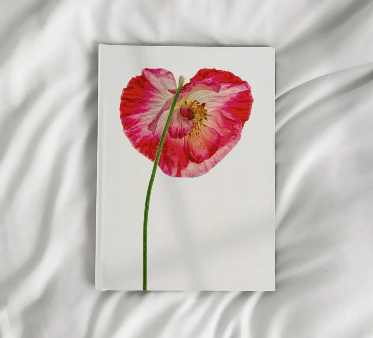 Heart X notebook by Curious Collections by Marielle Leenders