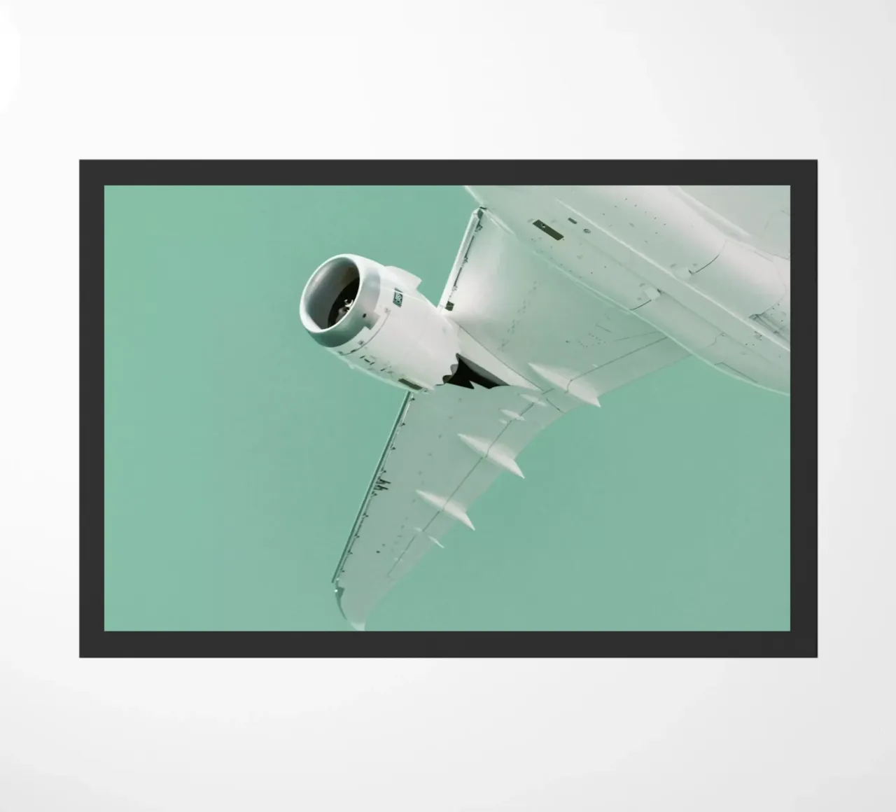 Overhead X zerbino da Tal Paz-Fridman