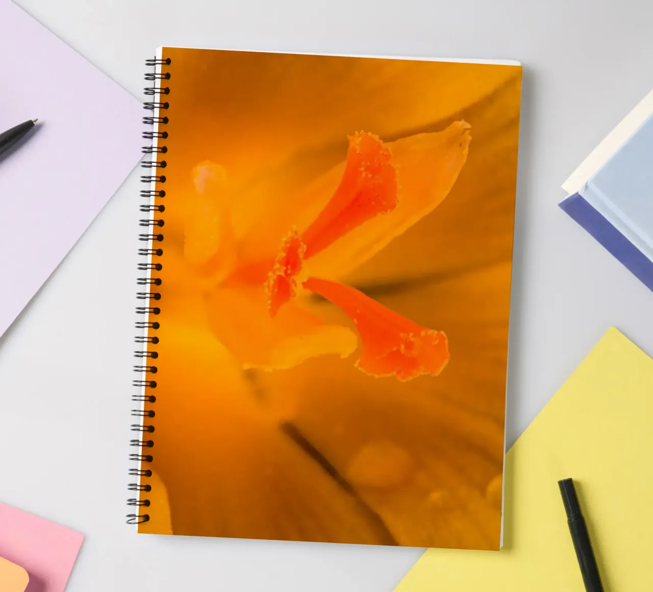 Flower stalks from a yellow crocus spiral notebook by Marcus Beckert | Fotografie