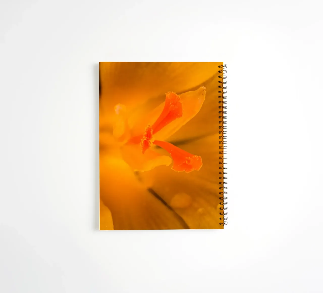 Flower stalks from a yellow crocus spiral notebook by Marcus Beckert | Fotografie