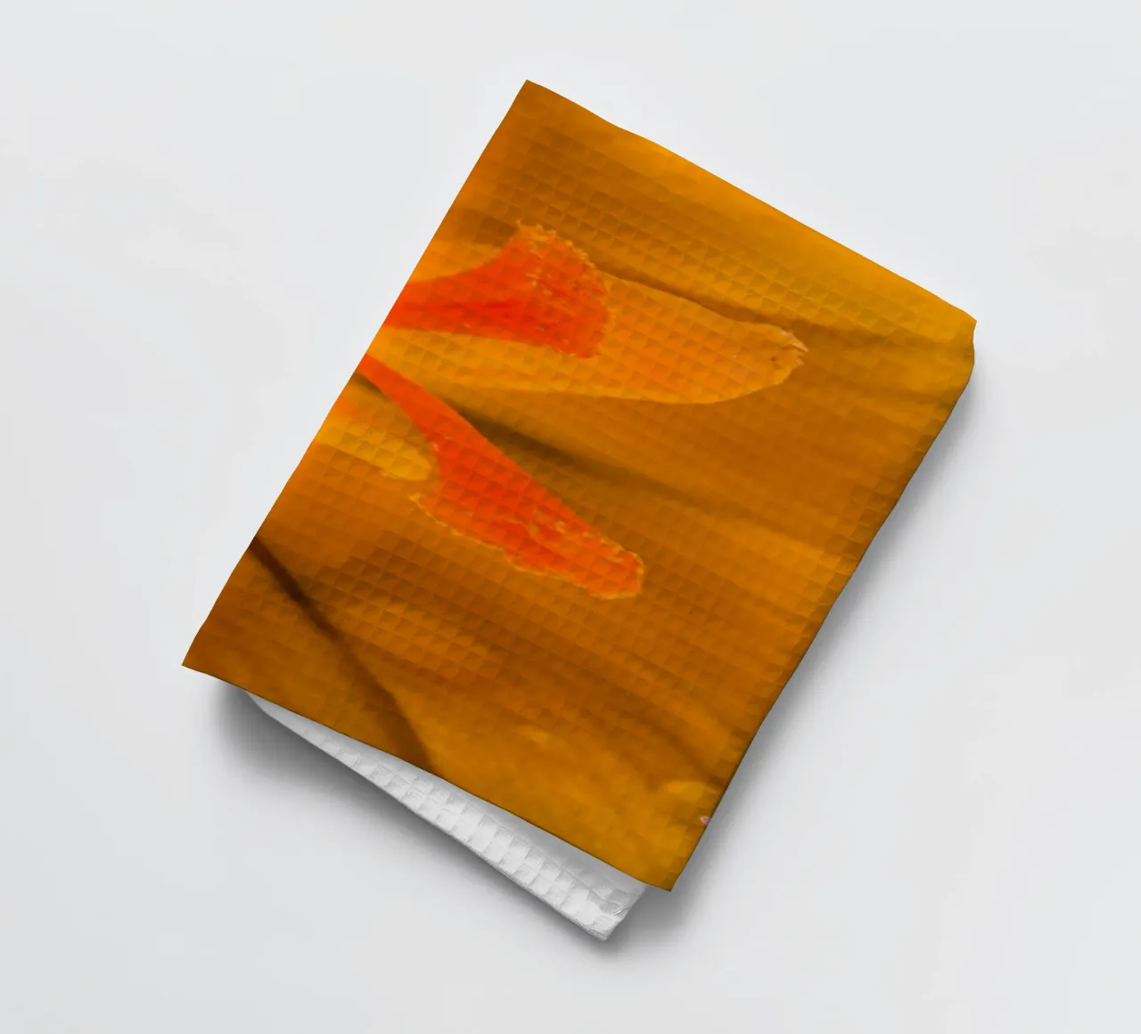 Tige de fleur d'un crocus jaune torchon de Marcus Beckert | Fotografie