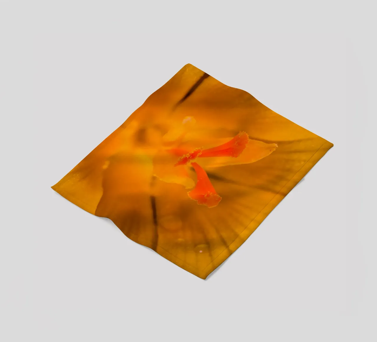 Steli dei fiori di un croco giallo coperta in pile da Marcus Beckert | Fotografie