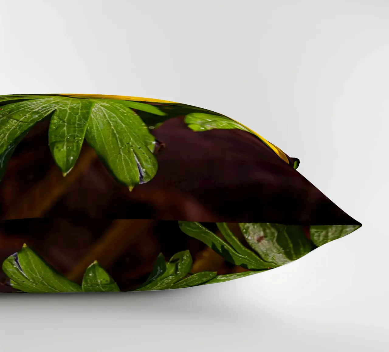 Aconiti invernali con gocce d'acqua sul fiore cuscino da Marcus Beckert | Fotografie