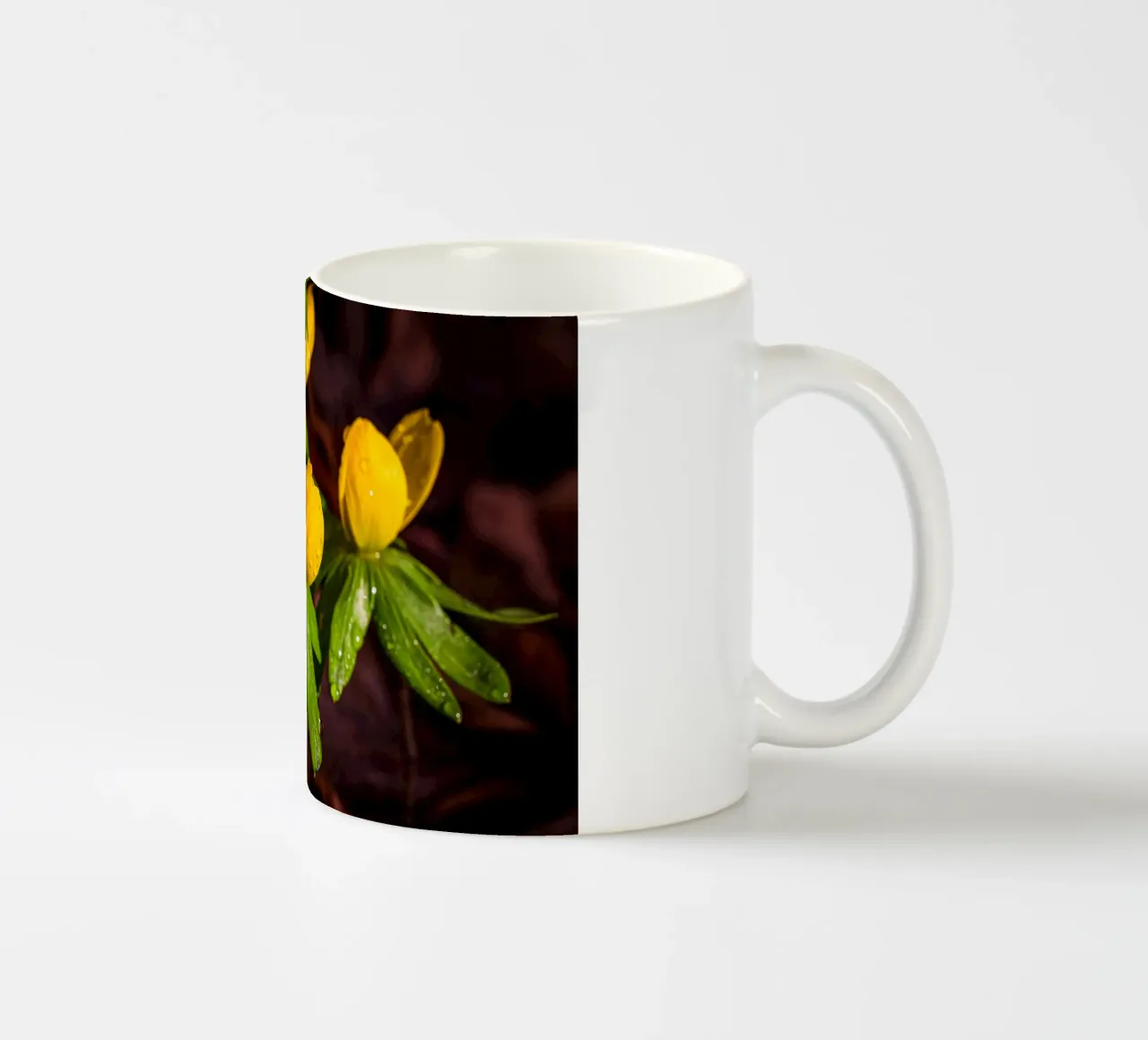 Aconiti invernali con gocce d'acqua sul fiore tazza in ceramica da Marcus Beckert | Fotografie
