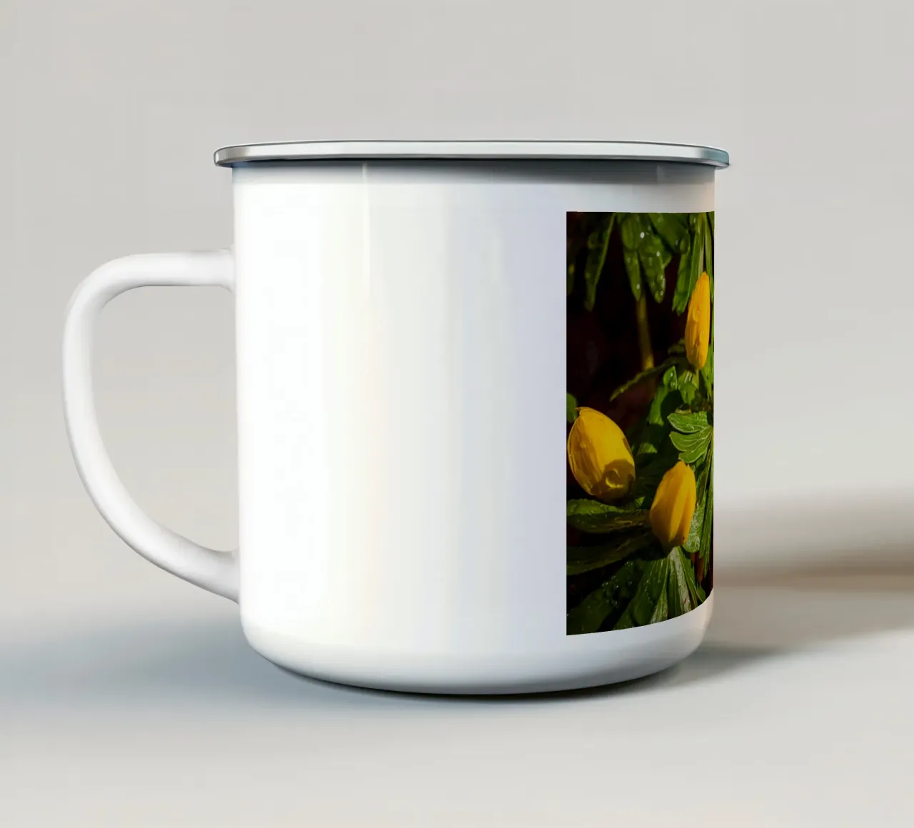 Aconiti invernali con gocce d'acqua sul fiore tazza in smalto da Marcus Beckert | Fotografie