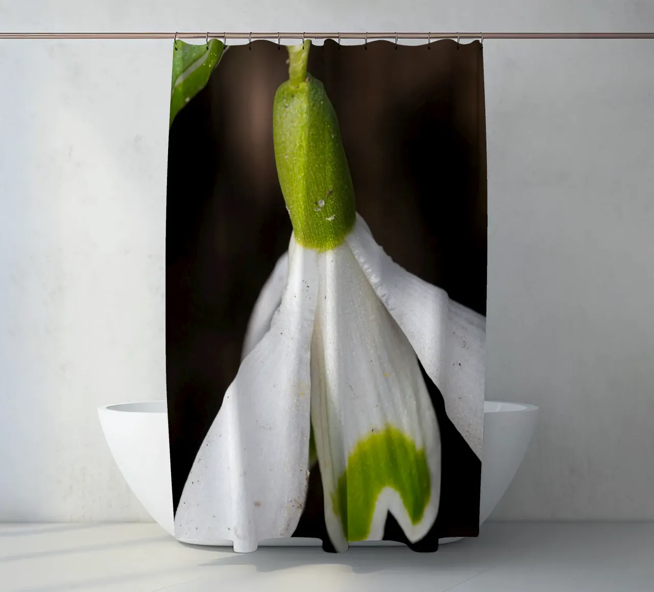 Primo piano di un bucaneve tenda da doccia da Marcus Beckert | Fotografie