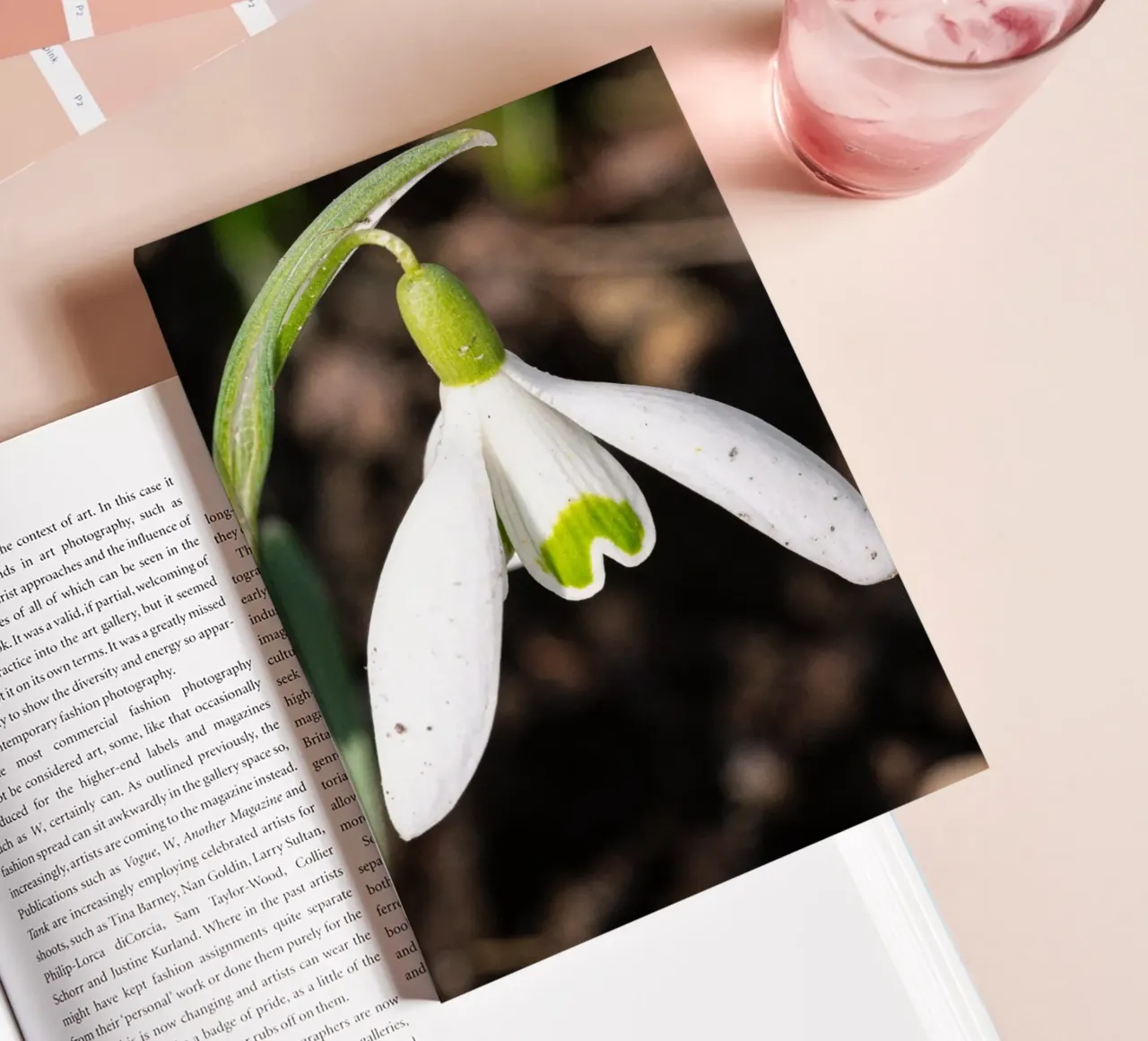 Snowdrops in spring notebook by Marcus Beckert | Fotografie