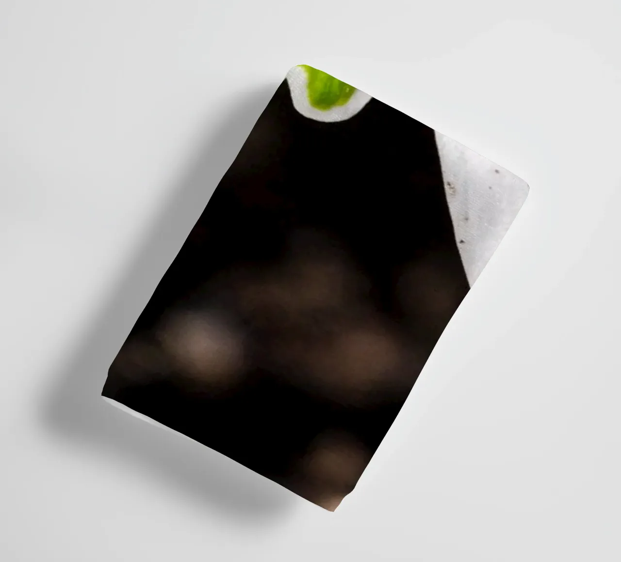 Snowdrops in spring towel by Marcus Beckert | Fotografie