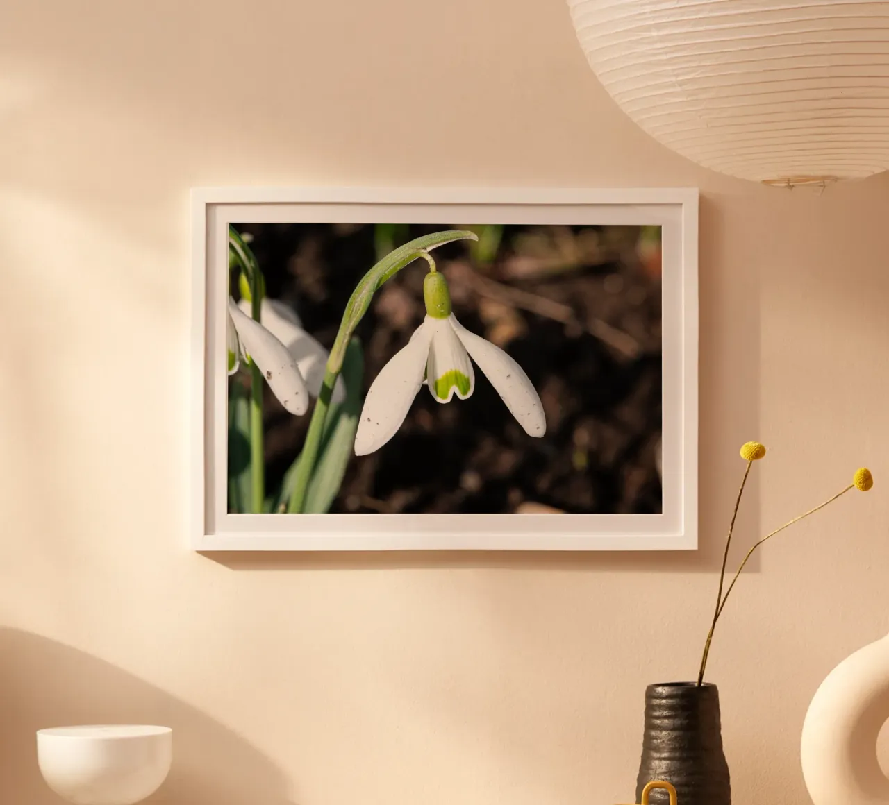 Bucaneve in primavera carta hahnemühle da Marcus Beckert | Fotografie