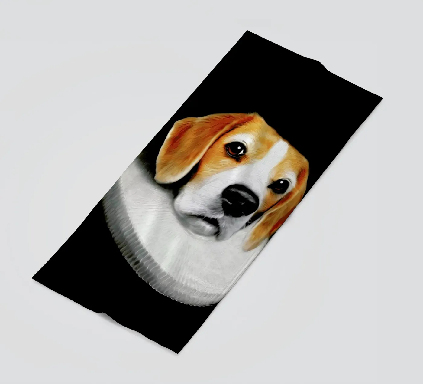 Miss Daisy telo mare da Tein Lucasson