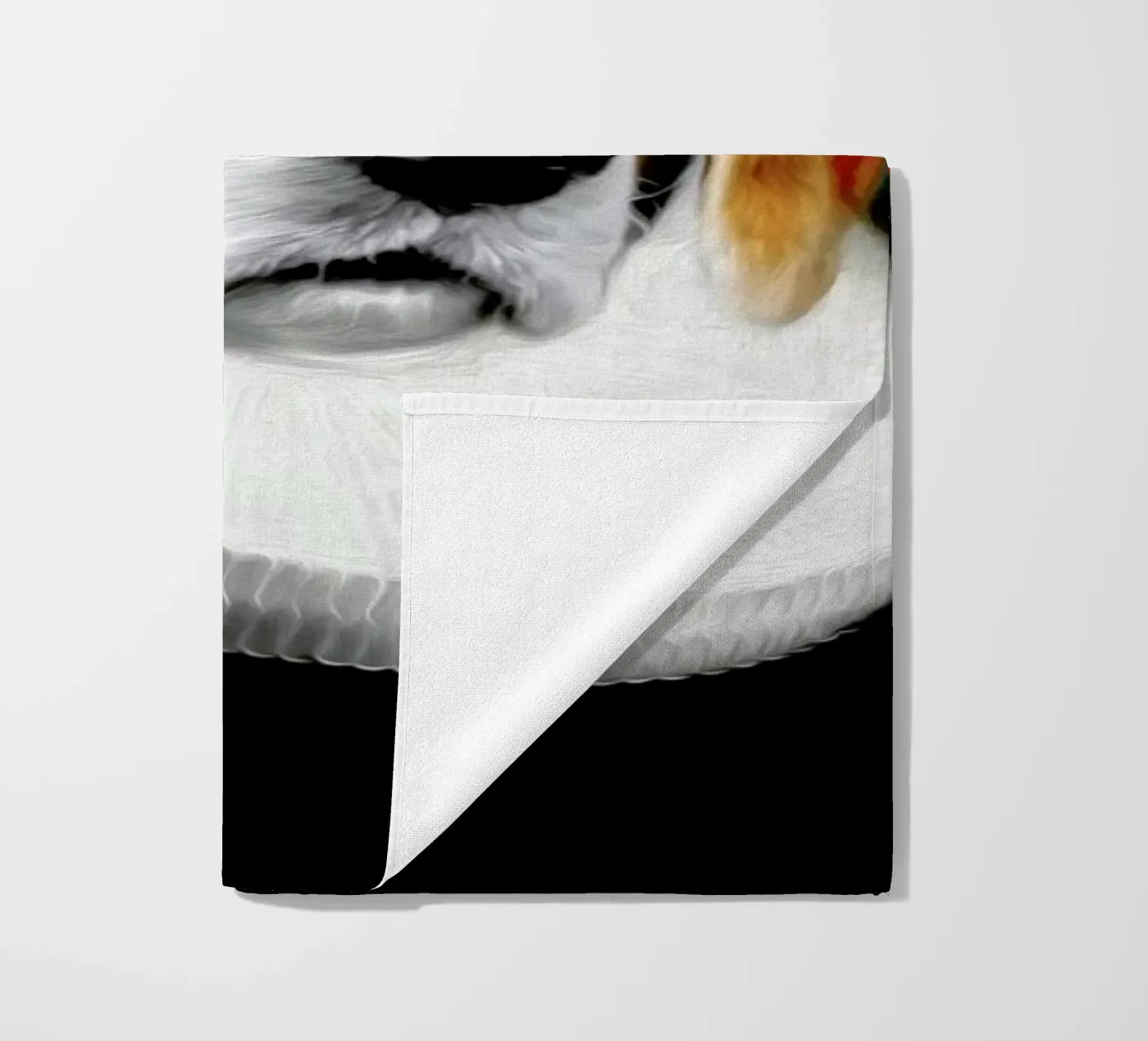 Miss Daisy telo mare da Tein Lucasson