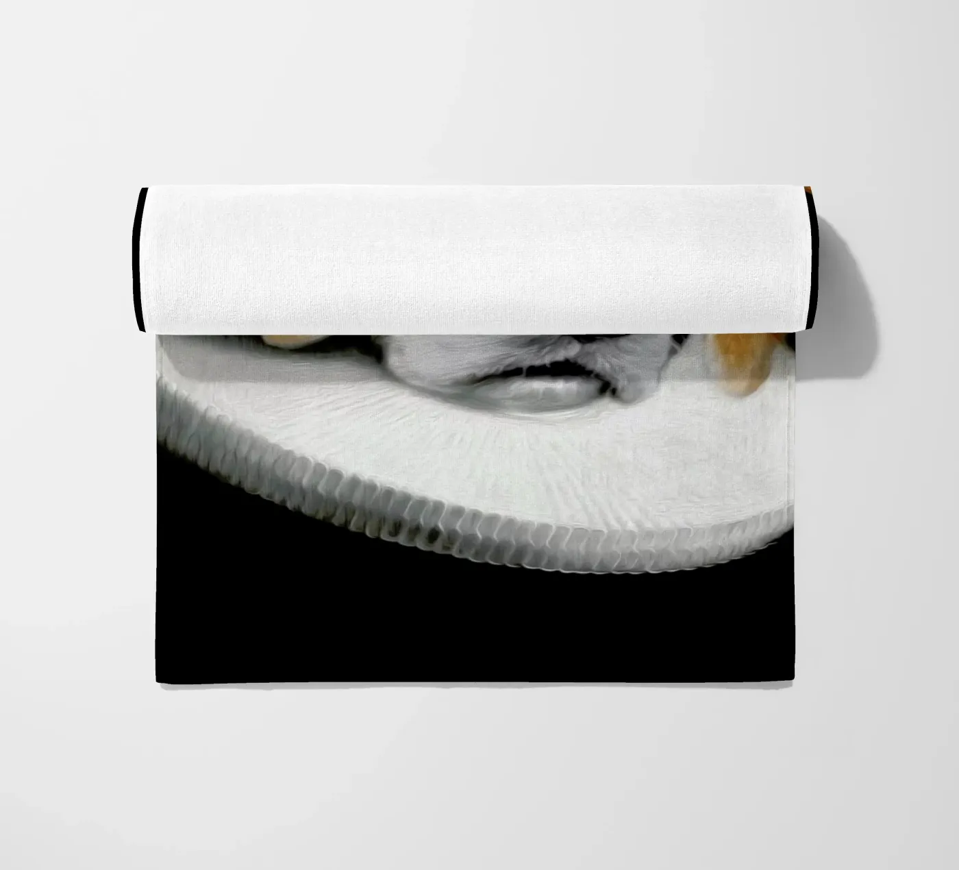 Miss Daisy telo mare da Tein Lucasson