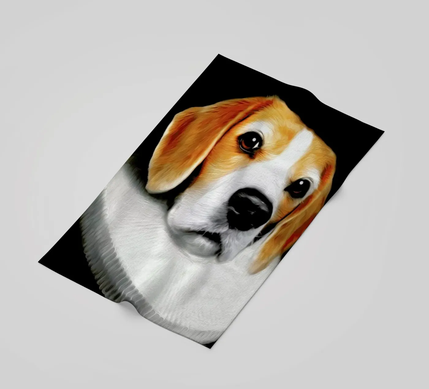 Miss Daisy telo mare da Tein Lucasson