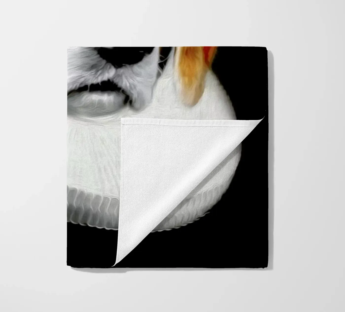 Miss Daisy telo mare da Tein Lucasson