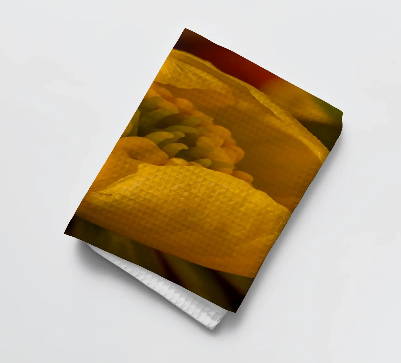 Gros plan sur la fleur jaune d'une gaulthérie torchon de Marcus Beckert | Fotografie