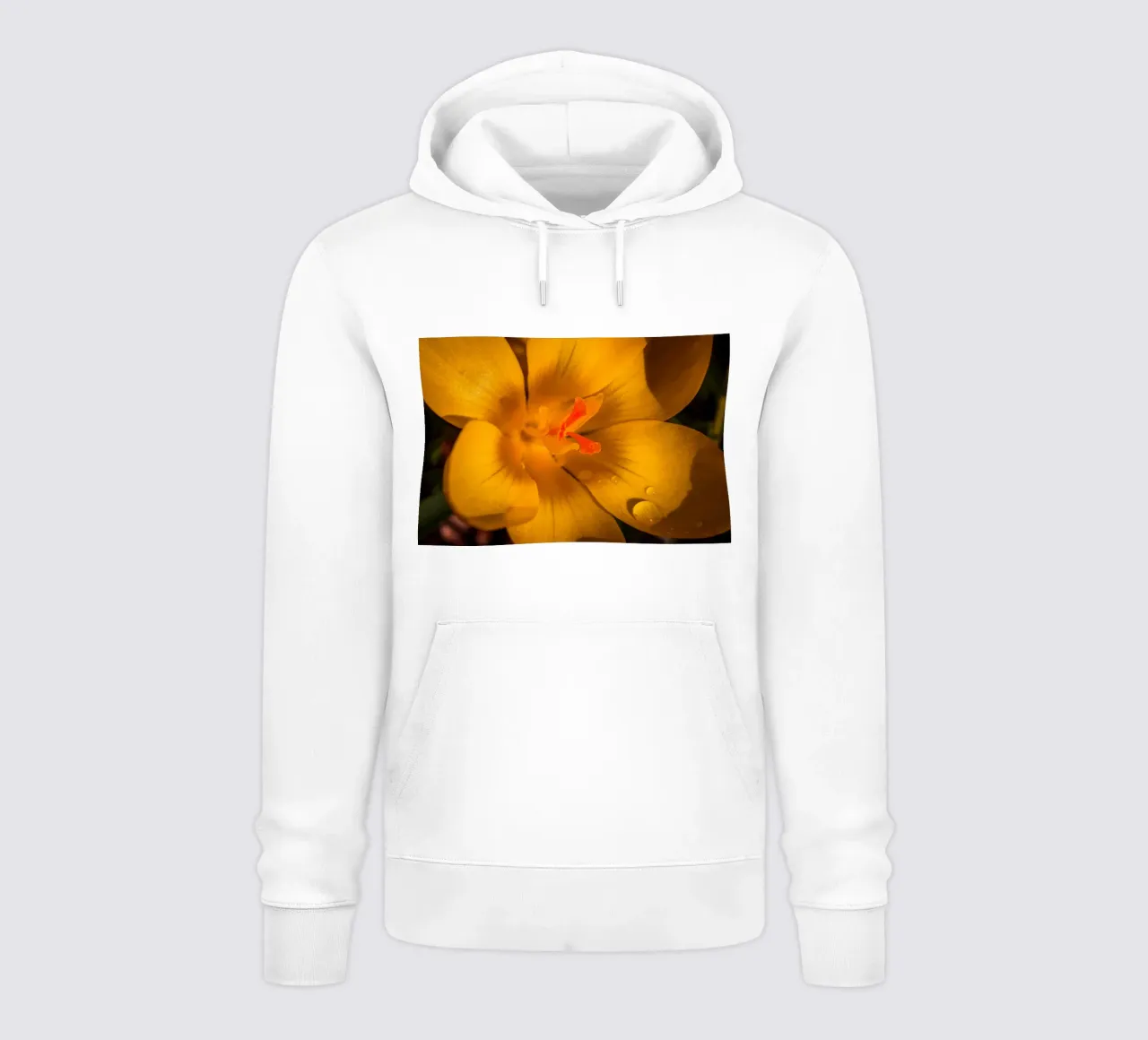 Yellow crocus with water droplets on the petals hoodie by Marcus Beckert | Fotografie