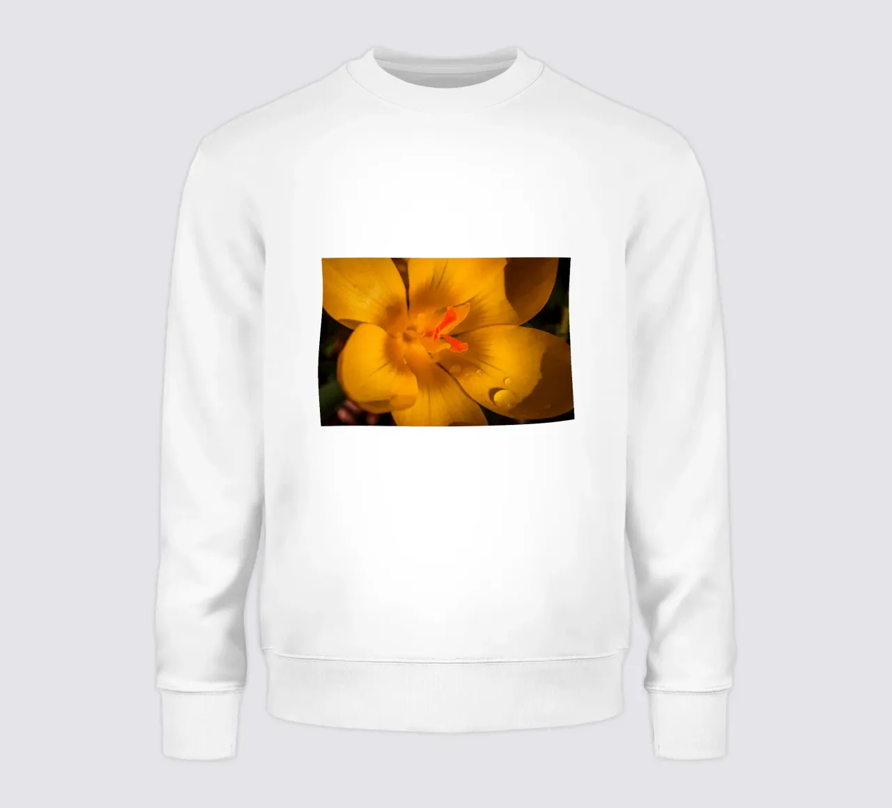Crocus jaune avec des gouttes d'eau sur les pétales sweat de Marcus Beckert | Fotografie