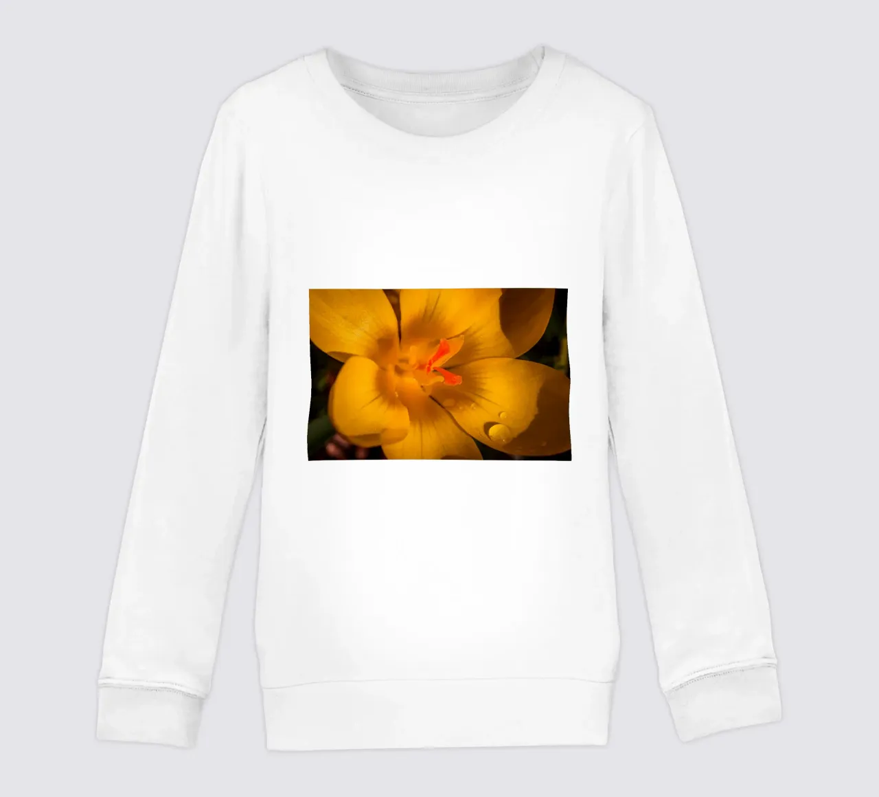 Yellow crocus with water droplets on the petals kids sweatshirt by Marcus Beckert | Fotografie