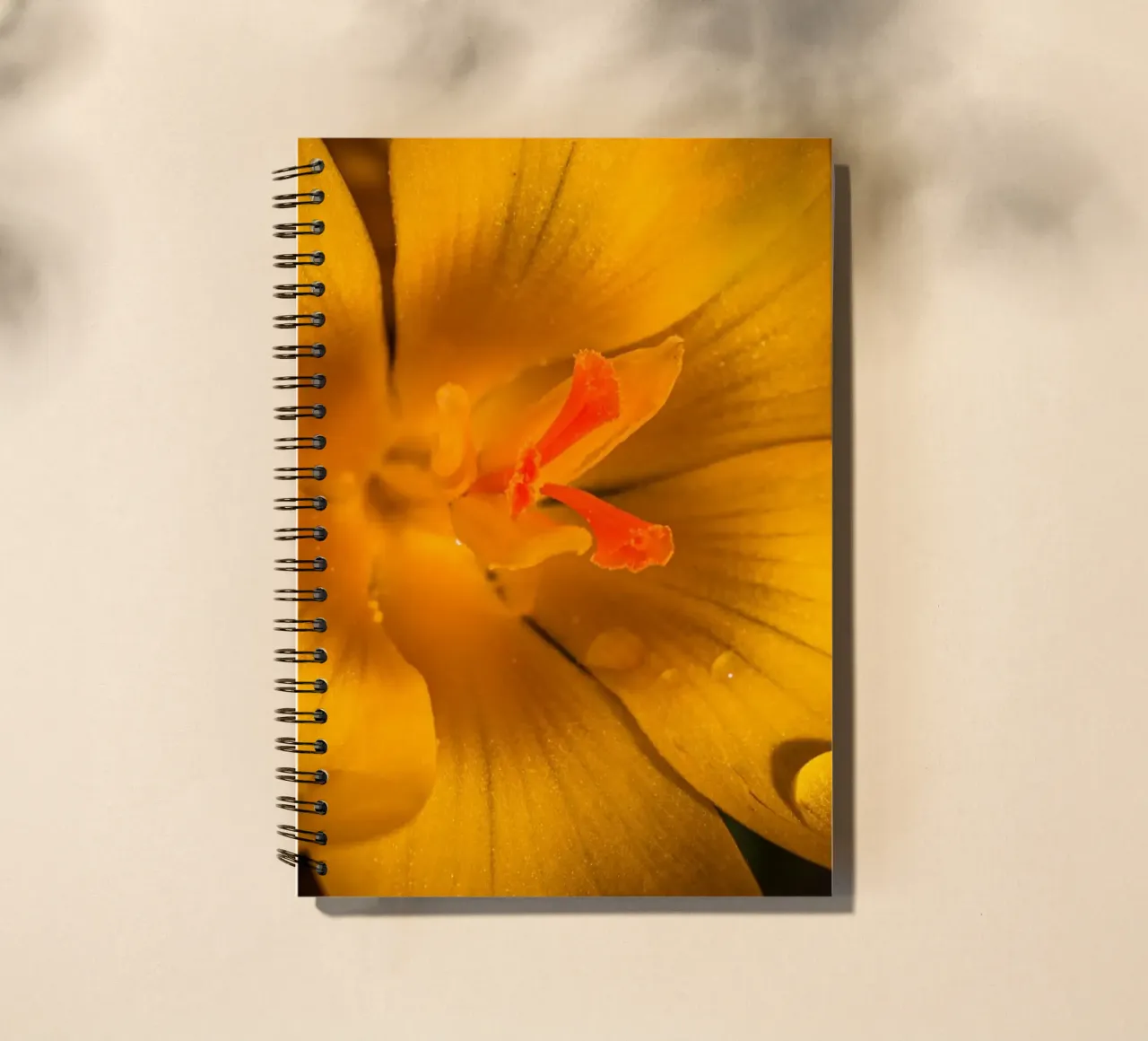 Crocus jaune avec des gouttes d'eau sur les pétales carnet à spirale de Marcus Beckert | Fotografie