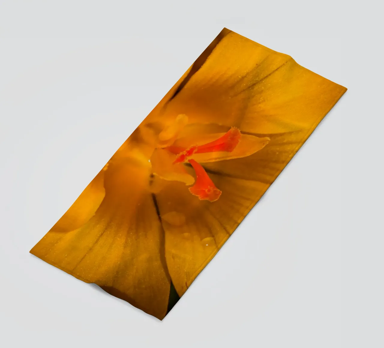 Crocus jaune avec des gouttes d'eau sur les pétales serviette de plage de Marcus Beckert | Fotografie