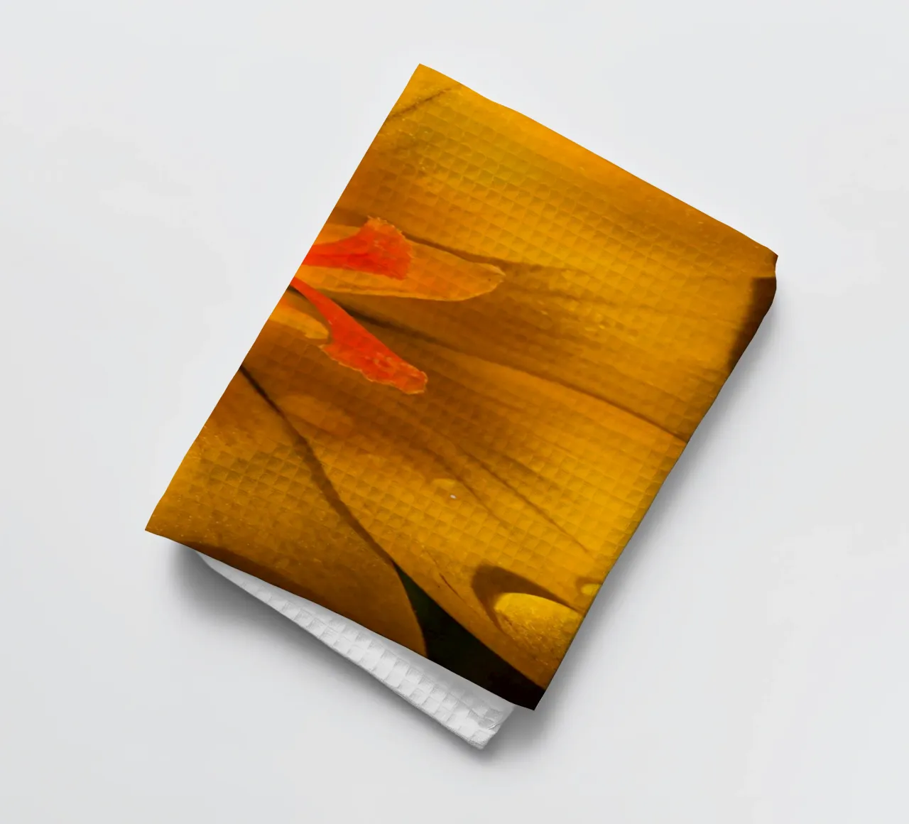 Crocus jaune avec des gouttes d'eau sur les pétales torchon de Marcus Beckert | Fotografie