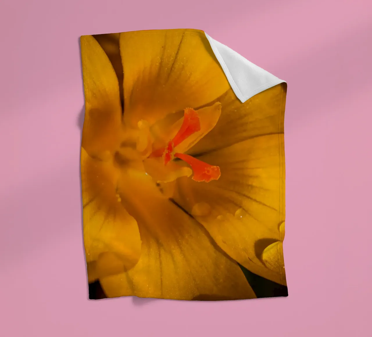 Yellow crocus with water droplets on the petals fleece blanket by Marcus Beckert | Fotografie