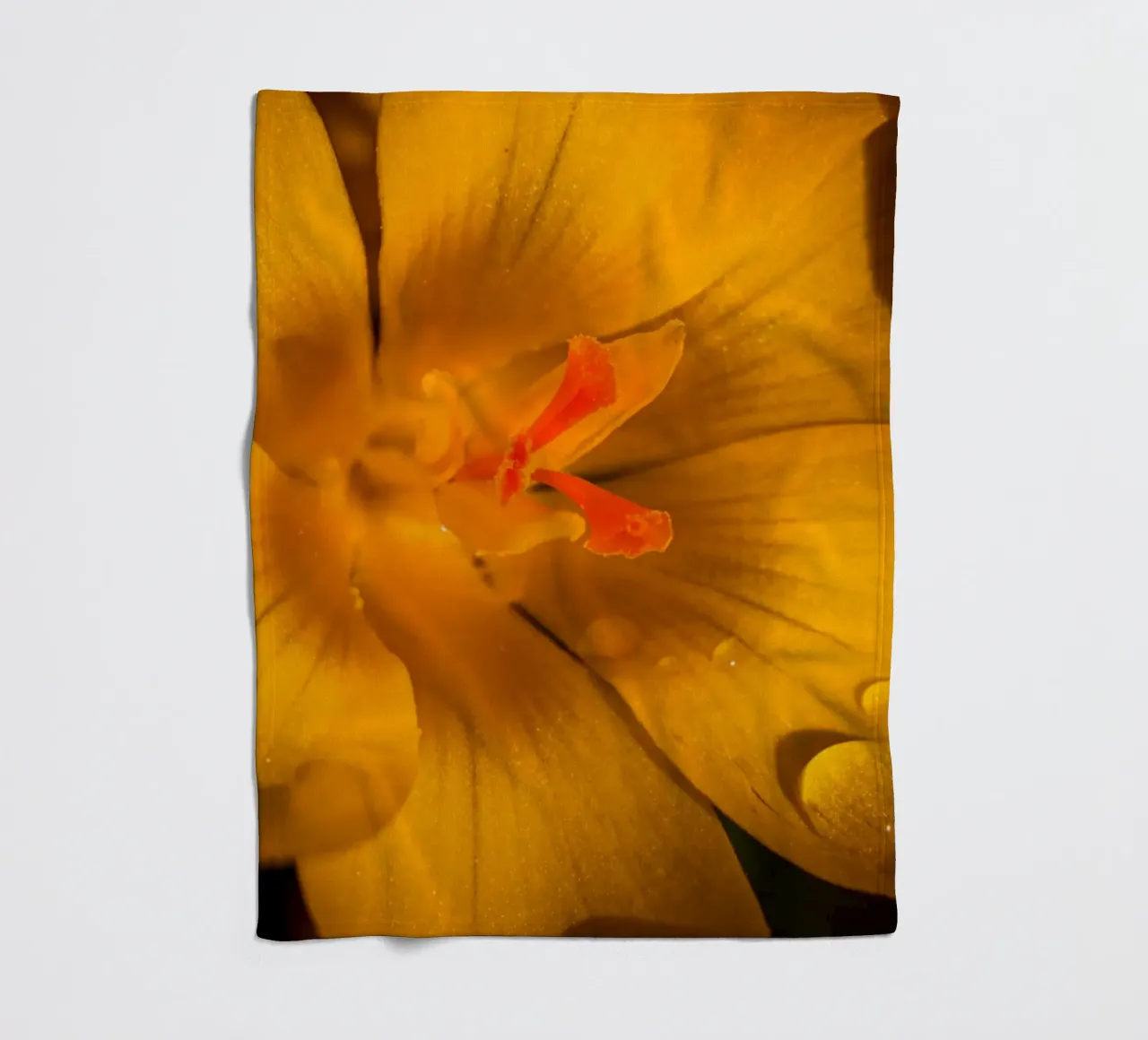 Yellow crocus with water droplets on the petals fleece blanket by Marcus Beckert | Fotografie