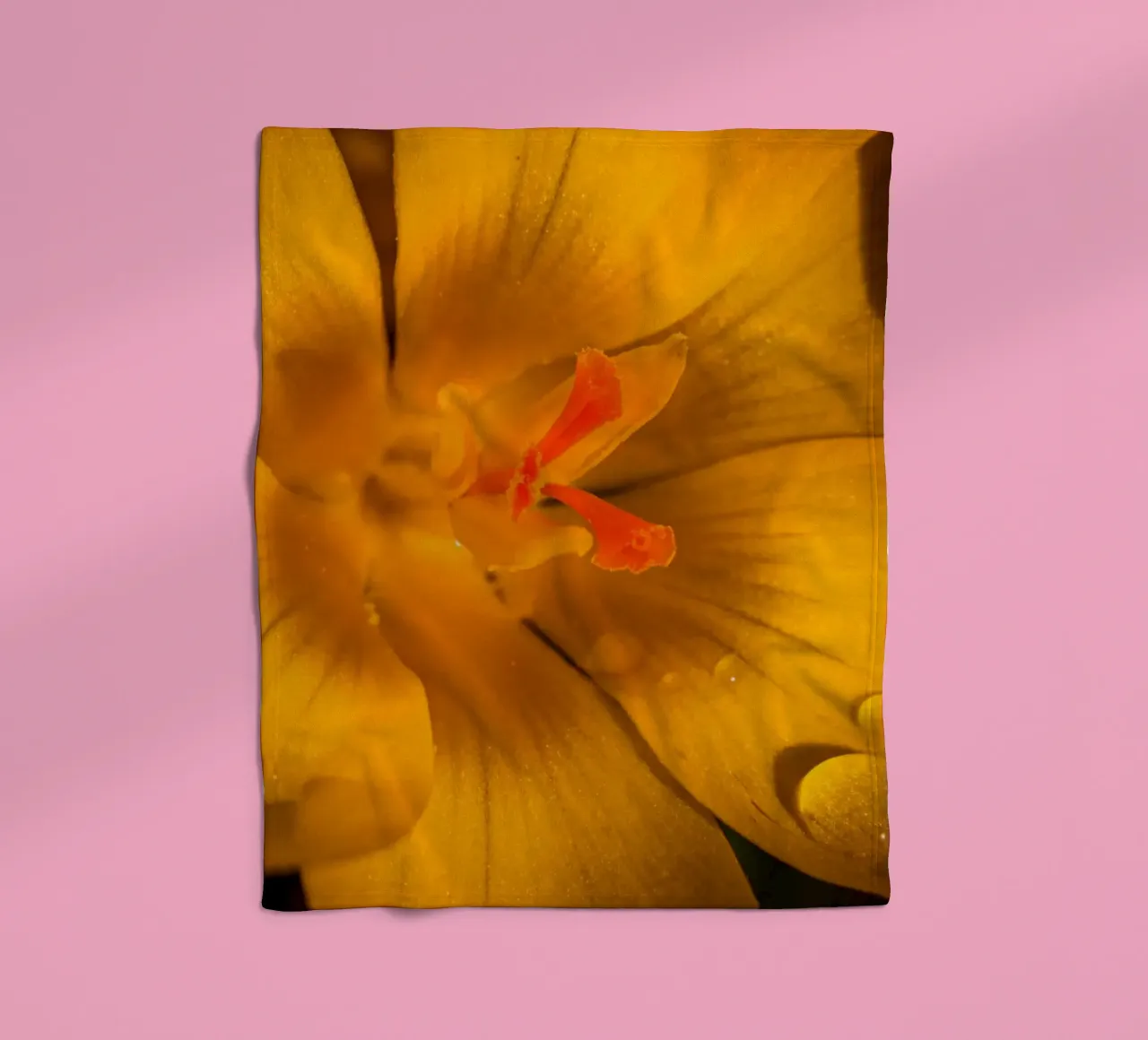 Yellow crocus with water droplets on the petals fleece blanket by Marcus Beckert | Fotografie