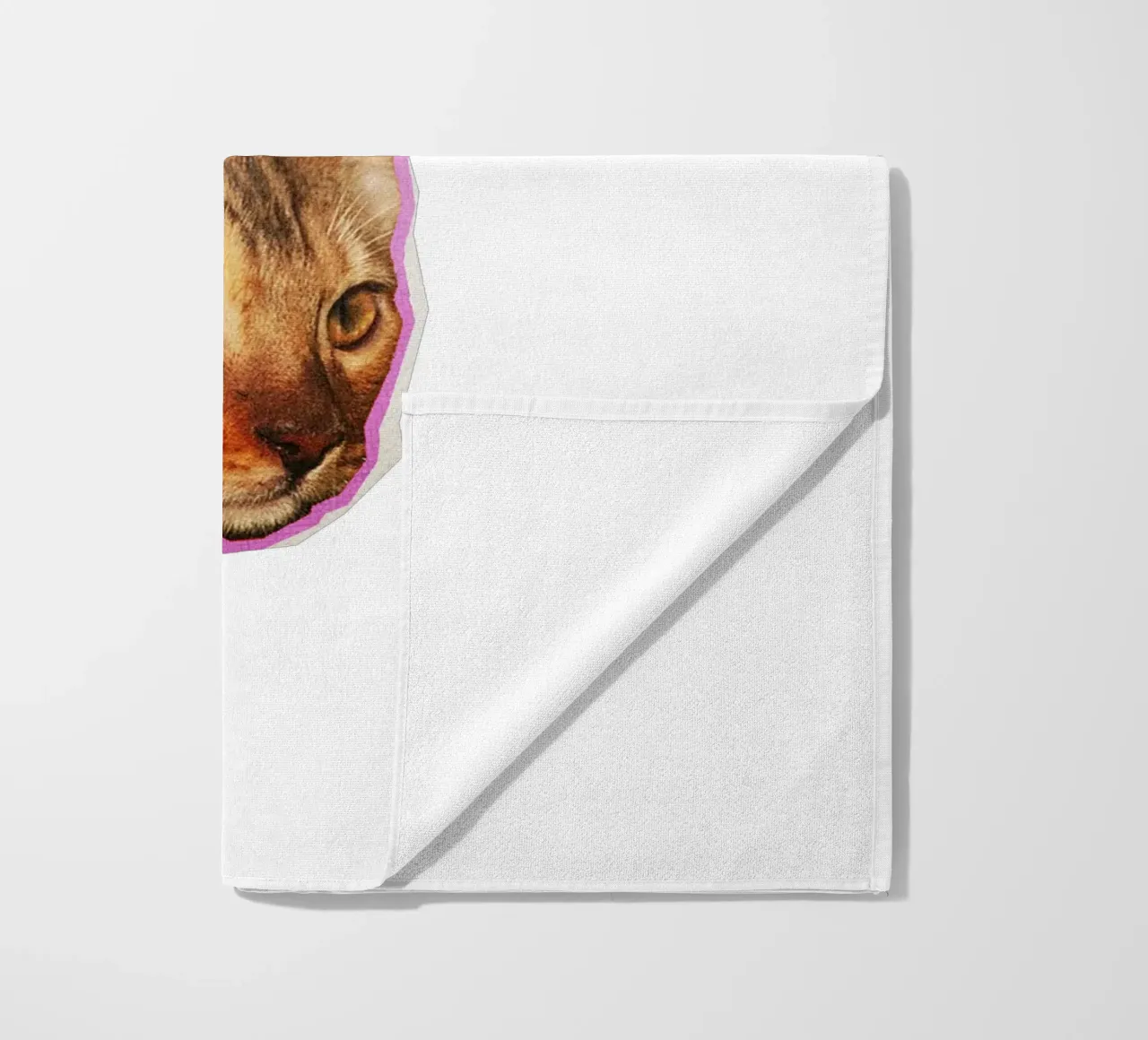 Meoz telo mare da khoailang