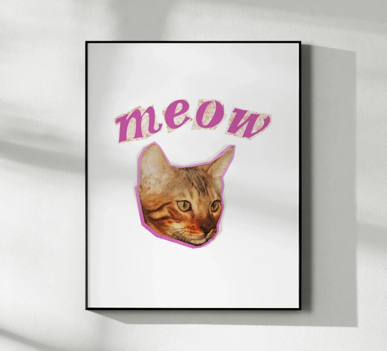 Meoz plexiglass da khoailang