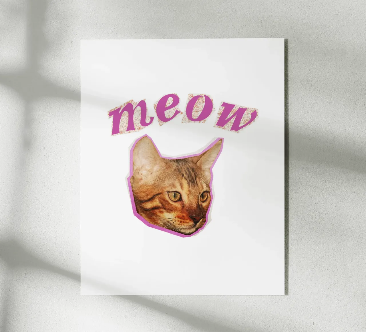 Meoz plexiglass da khoailang