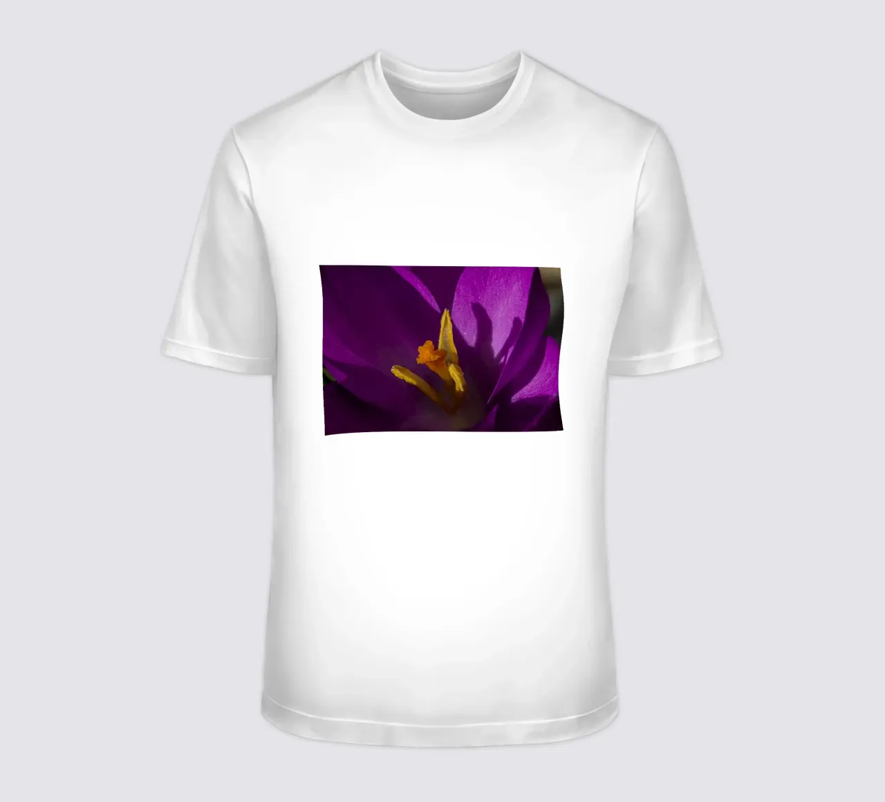 Purple crocus in spring t-shirt by Marcus Beckert | Fotografie